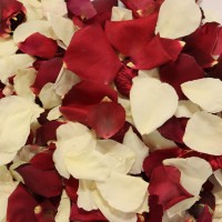 High Tea 4 Cups Freeze Dried Rose Petals